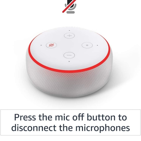 Amazon Echo and Echo Auto - Picture 4 of 5